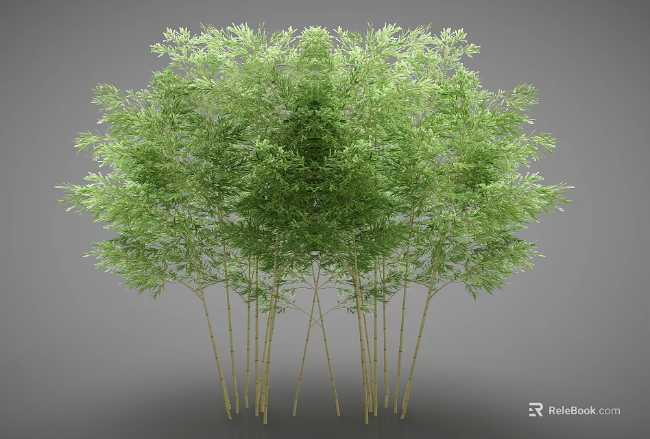 Lush Green Bamboo Grove with Tall Stems and Fresh Leaves 3d model 