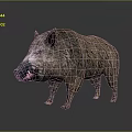 Realistic Wild Boar 3D Model With Rough Fur And Prominent Tusks Standing On Gray Background