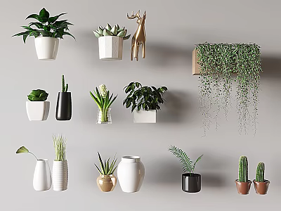 Bonsai and Potted Plants Collection with Hanging Greenery and Various Pots for Indoor Decor 3d model