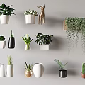 Bonsai and Potted Plants Collection with Hanging Greenery and Various Pots for Indoor Decor