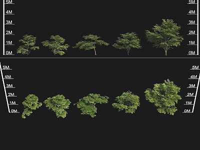 Garden Landscape Design Featuring Various Tree Sizes With Height Specifications 3d model