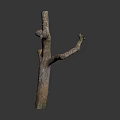 Wood and Stone Abstract Sculpture With Organic Shape Natural Texture Decorative Artwork