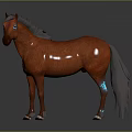 Chestnut Horse 3D Model With Black Mane Blue Eyes And Blue Leg Markings