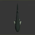 Marine Animal Fish With Green And Gray Body Open Mouth Teeth Fins Tail Dark Background Reflection