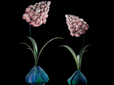 Two Pink Grape Like Flowers In Blue Green Vases With Green Leaves On Black Background 3d model
