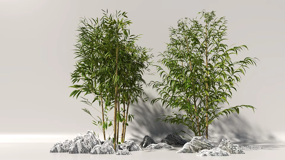 Bamboo Plants With Green Leaves and Tall Stems Surrounded by Decorative Rocks 3d model 