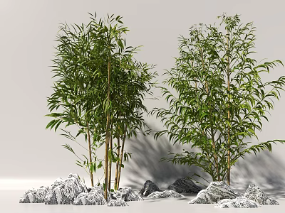 Bamboo Plants With Green Leaves and Tall Stems Surrounded by Decorative Rocks 3d model