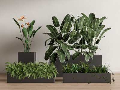 Various Indoor Potted Plants In Black Planters With Green Leaves And Orange Flowers 3d model