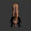 Realistic Brown Moose With Large Black Antlers Standing On Gradient Background