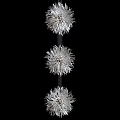 Three Elegant Silver Flower Shaped Modern Chandeliers In Vertical Arrangement