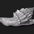 Detailed Reptile Snail With Spiral Textured Shell And Long Tentacles On Black Background