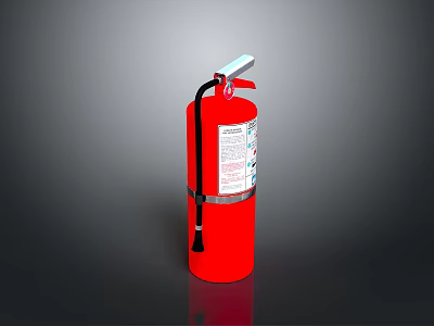 Red Dry Powder Fire Extinguisher With Handle And Safety Label For Home Use 3d model