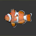 3D Designed Clownfish Sculpture With Orange White Black Stripes And Transparent Frame Support