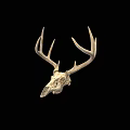Natural Deer Skull With Intricate Antlers For Rustic Wall Decor 3d model