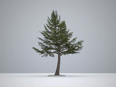 Isolated Arbor Tree With Green Foliage And Brown Trunk On Round Base 3d model