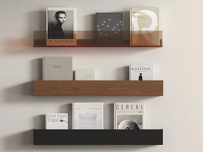 Modern Brown and Black Wall Shelving Unit with Decorative Books on Minimalist Interior 3d model