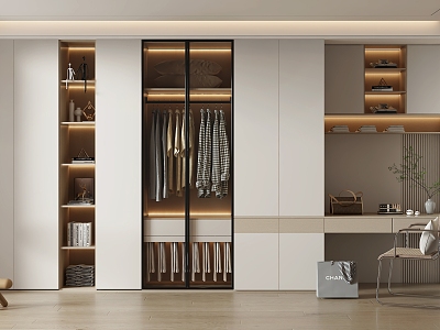 Modern Wardrobe Home Cloakroom model