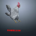 Realistic 3D Chicken Model With Skeleton Rigging And Animation Features