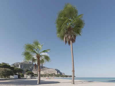 Tall Palm Trees on Sandy Beach with Blue Sky Mountain View and Background Buildings 3d model