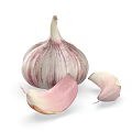 Fresh Purple Striped Garlic Bulb With Peeled Cloves On White Background