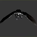 Winged Humanoid Sculpture In Metallic Finish Squatting With Spread Wings On Reflective Gray Surface