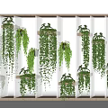 Elegant Hanging Bonsai Potted Plants On Transparent Dividers With Green Vines