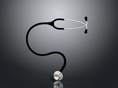 Essential Daily Necessities Stethoscope With Black Flexible Tube And Shiny Silver Chest Piece 3d model