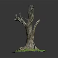 Natural Wooden Tree Stump Decor With Exposed Roots And Green Base