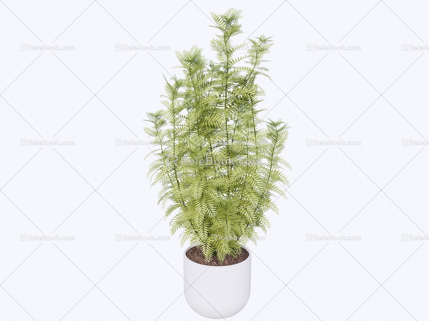 indoor potted plant 3d model