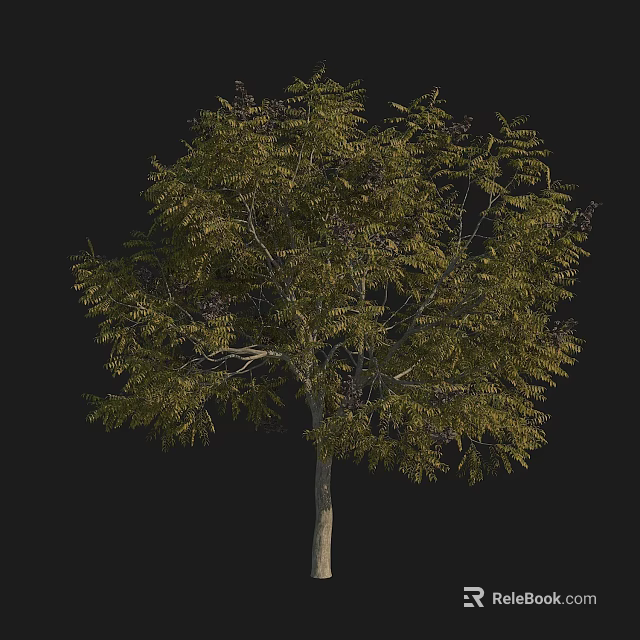Tall Lush Tree With Dense Green Foliage Strong Trunk And Spreading Branches 3d model 