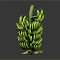 Fresh Green Banana Bunch with Stem Placed on Dark Background Surface 3d model