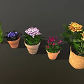 Colorful Garden Decor With Various Potted Flowers And Ceramic Woven Planters
