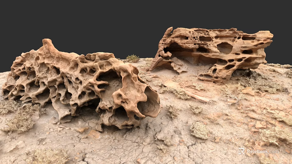 Natural Porous Stone Materials On Dry Ground With Small Plants 3d model 