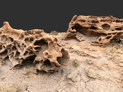 Natural Porous Stone Materials On Dry Ground With Small Plants 3d model