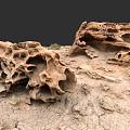Natural Porous Stone Materials On Dry Ground With Small Plants