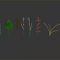 Various Green Plants With Different Leaves And Grass Arranged On Gray Background With Ground Reflection