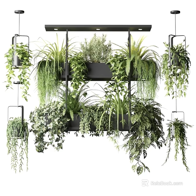 Lush Hanging Basket Plants With Vibrant Green Foliage For Indoor Decor 3d model 