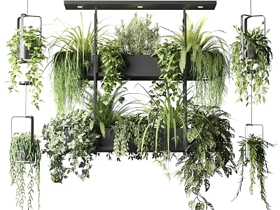 Lush Hanging Basket Plants With Vibrant Green Foliage For Indoor Decor 3d model