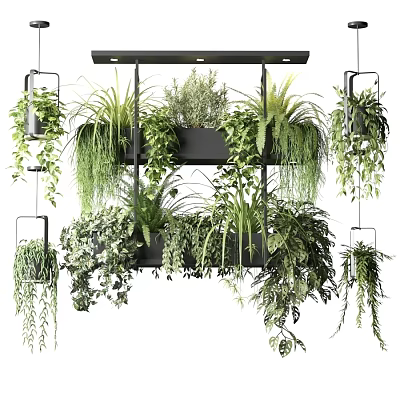 Lush Hanging Basket Plants With Vibrant Green Foliage For Indoor Decor 3d model