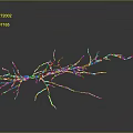 Delicate Plant Roots Structure With Thin Branches On Dark Background