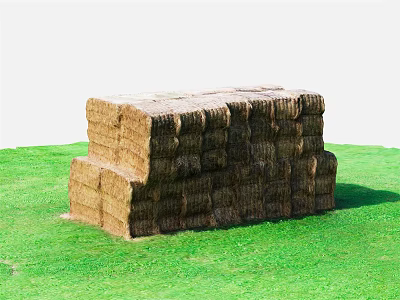 Stacked Hay Bales Arranged On Lush Green Grass In Open Field 3d model