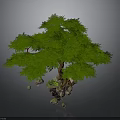 Floating Green Tree With Stones At Base And Gray Background