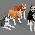 Cute Husky Dogs In Different Colors Standing Together On Gray Background