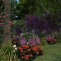 Vibrant Garden With Colorful Flowers Green Plants Purple Blooms And Lush Grass
