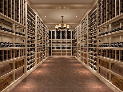 Spacious Wine Cellar Interior Design With Rows Of Wine Racks Bottles Hanging Chandelier And Walkway 3d model
