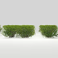 Pruned Green Garden Shrubs with Round and Rectangular Shapes for Landscaping 3d model