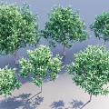 Multiple Green Arbor Trees With Lush Foliage And Various Sizes 3d model