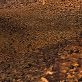 Rugged Brown Orange Textured Landscape With Small Crater And Hilly Surface