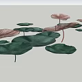 Green Leaves And Pink Flower Like Leaves On Gray Background With Various Sizes 3d model