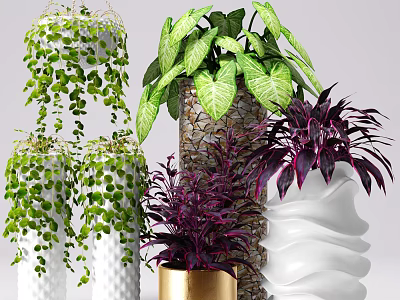 Bonsai Potted Plants With Green Hanging Leaves Purple Foliage And Decorative Ceramic Pots 3d model